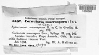 Image Associated With the Occurence